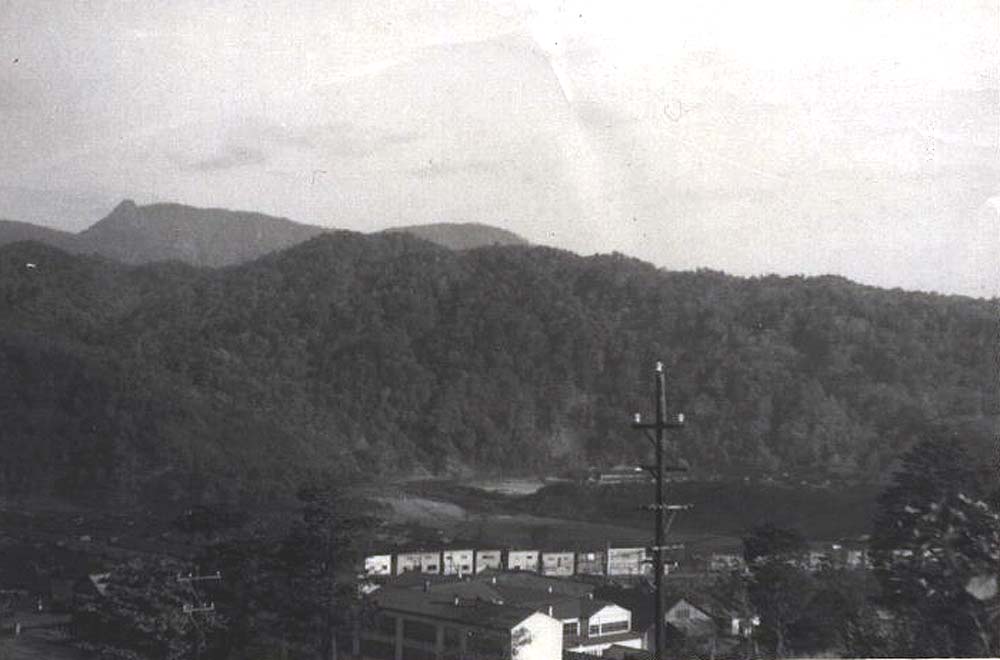 鹿島小学校から鹿島東小学校方面