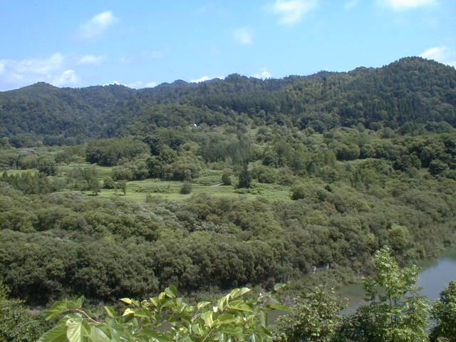 初夏のふるさと(1999年7月20日）｜ 成松泰彦