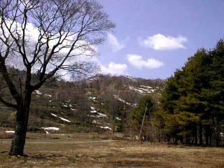 ふきのとう－2001GW－｜斎藤敏幸