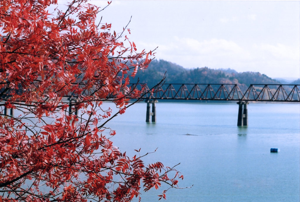 秋の三弦橋