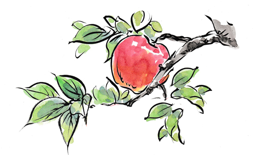 「ぶどう」と「りんご」の木 | 石崎佳美