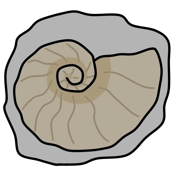 シューパロ川の化石
